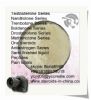 Homebrew Steroids Muslebuild Trenbolone Hexahydrobenzyl Carbonate Powder